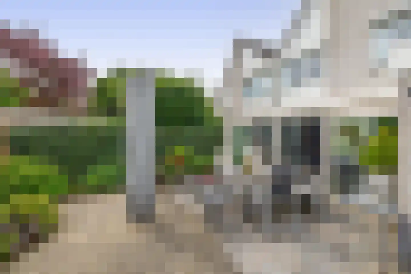 Paardebloem 75 Duiven thumbnail 34