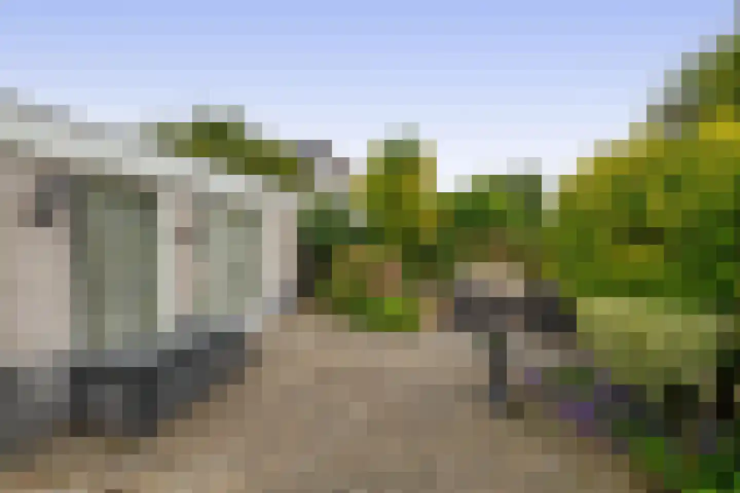 Paardebloem 75 Duiven thumbnail 35