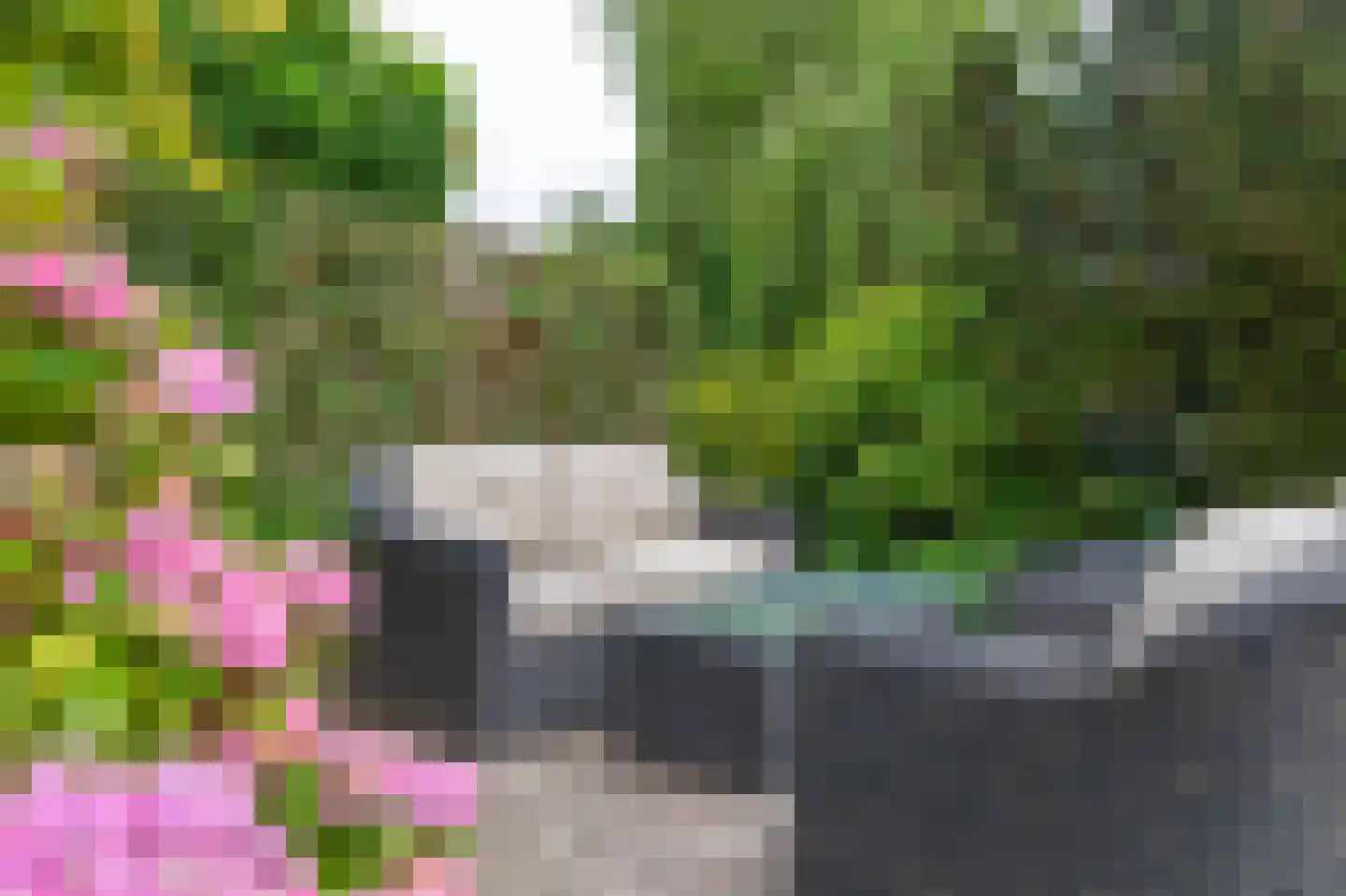 Paardebloem 75 Duiven thumbnail 36