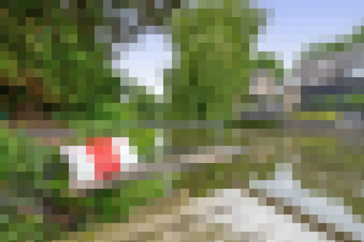 Paardebloem 75 Duiven thumbnail 37