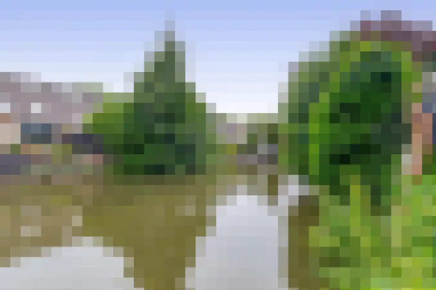 Paardebloem 75 Duiven thumbnail 38