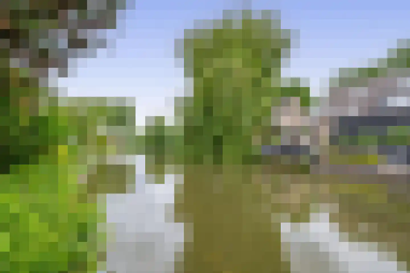 Paardebloem 75 Duiven thumbnail 39