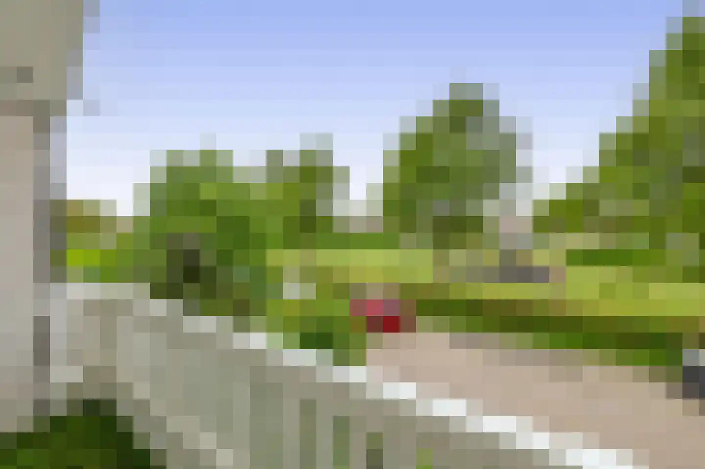 Paardebloem 75 Duiven thumbnail 46