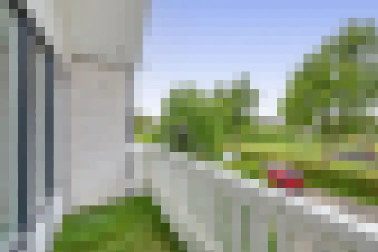 Paardebloem 75 Duiven thumbnail 47