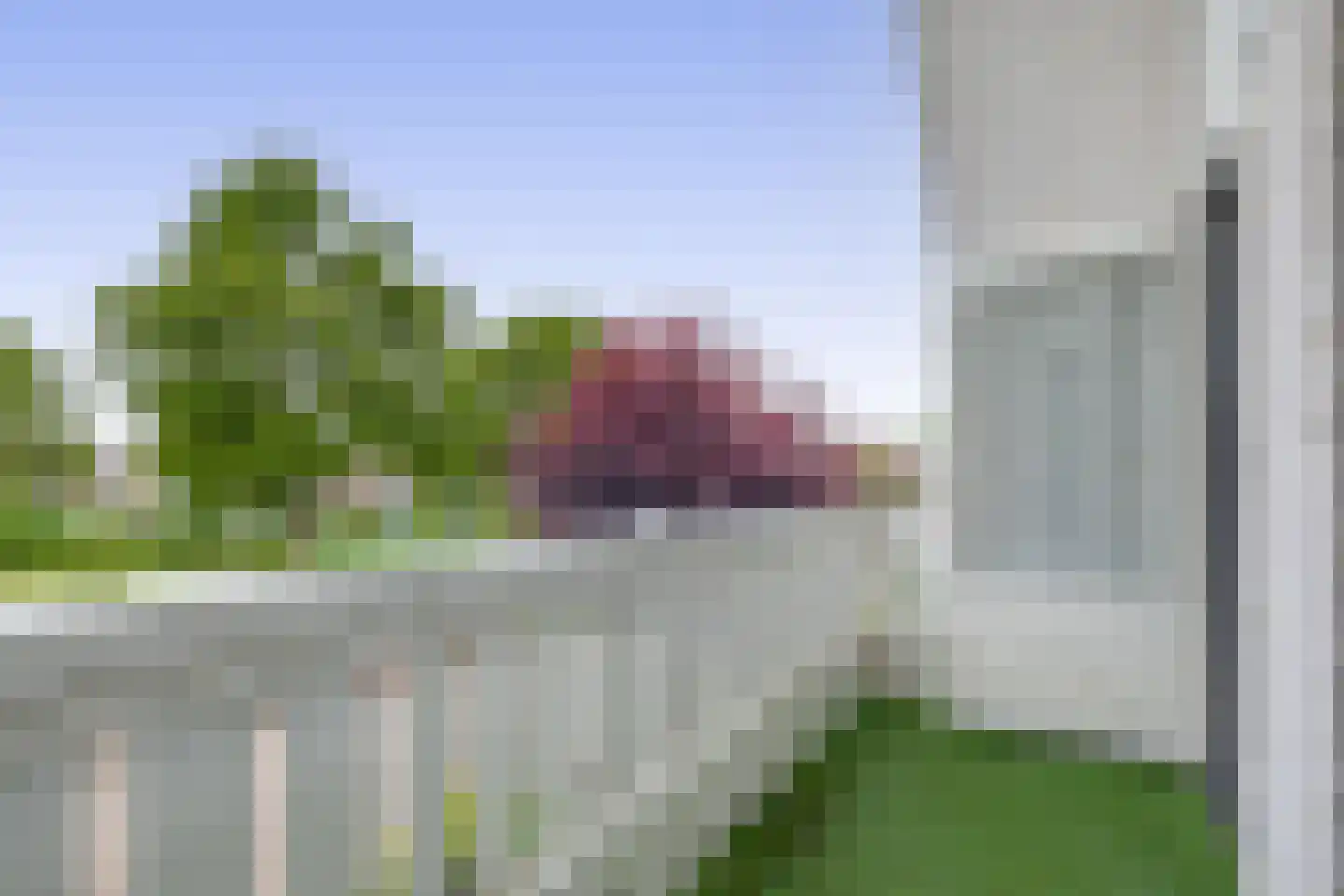 Paardebloem 75 Duiven thumbnail 48