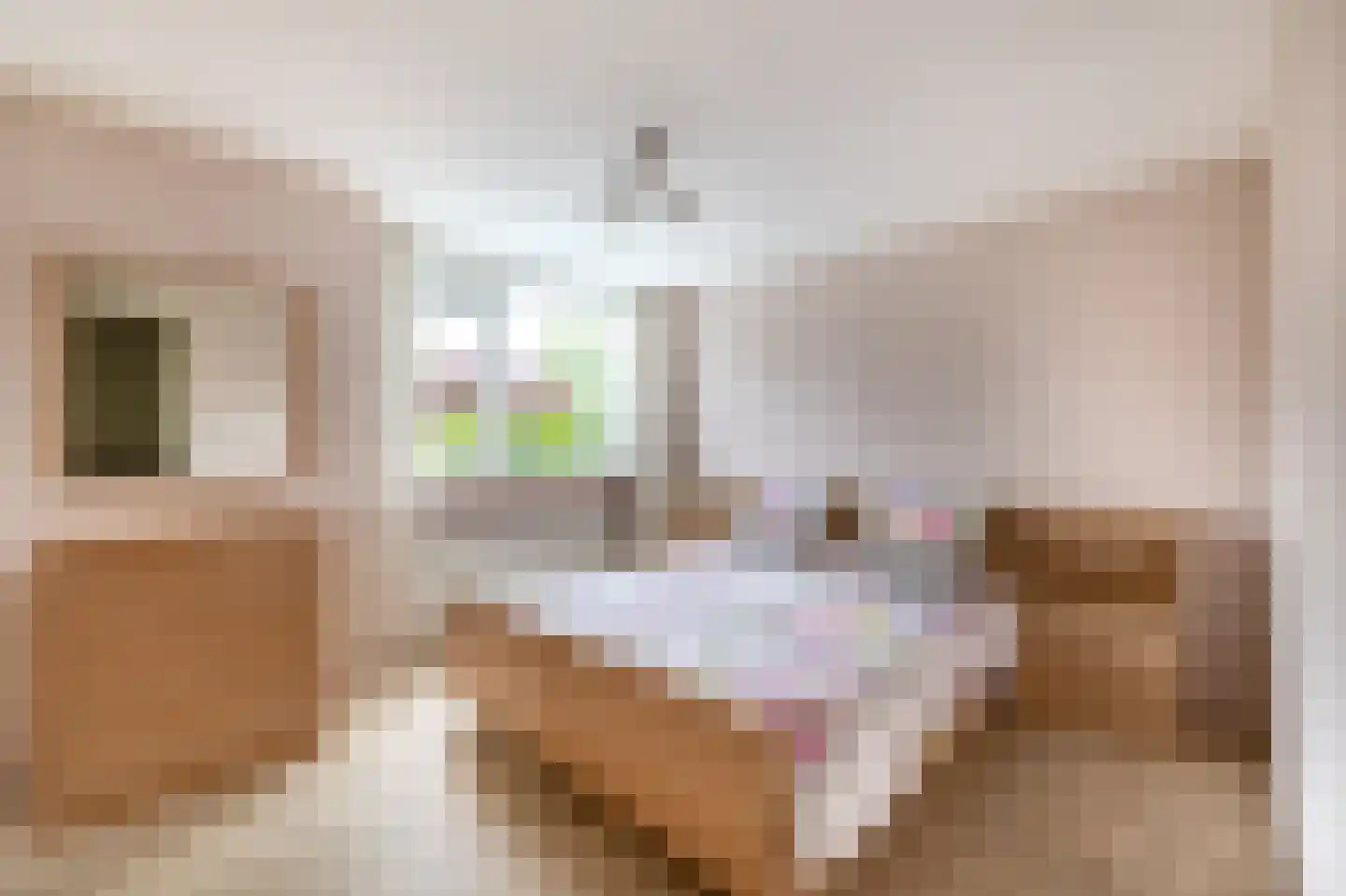 Paardebloem 75 Duiven thumbnail 51