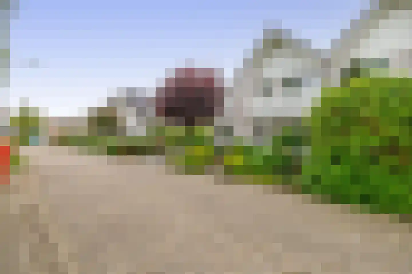 Paardebloem 75 Duiven thumbnail 55