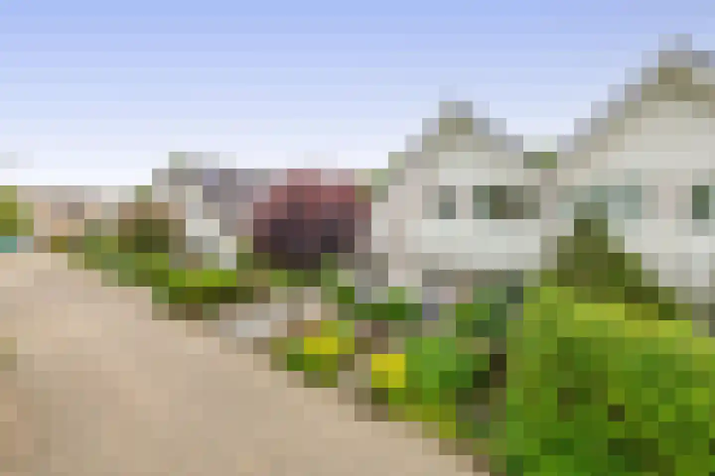 Paardebloem 75 Duiven thumbnail 56