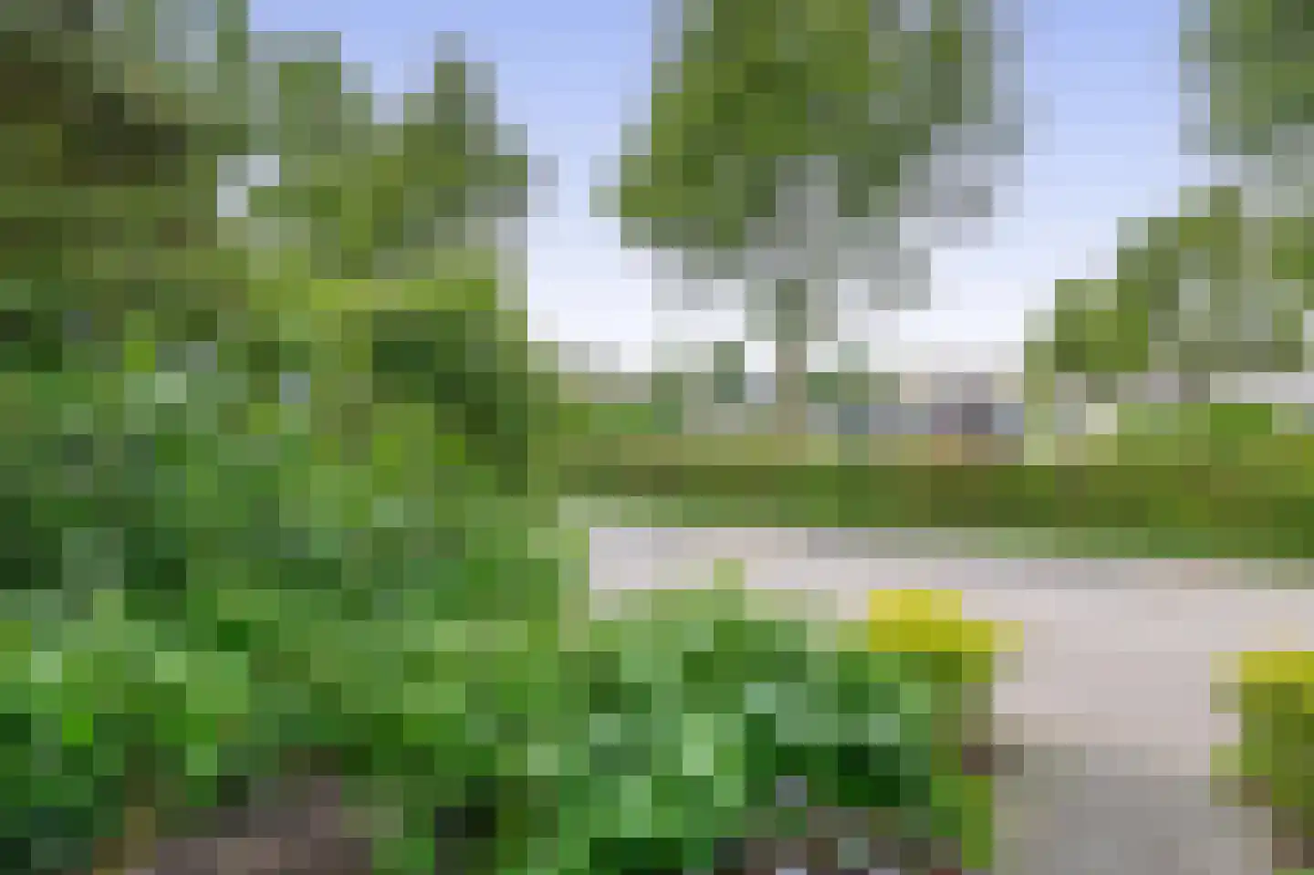 Paardebloem 75 Duiven thumbnail 57