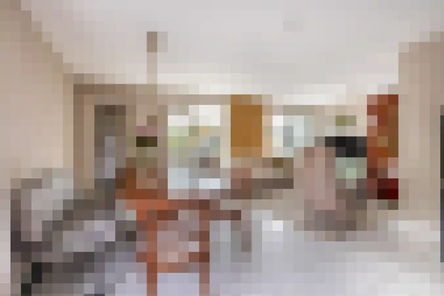 Paardebloem 75 Duiven thumbnail 6