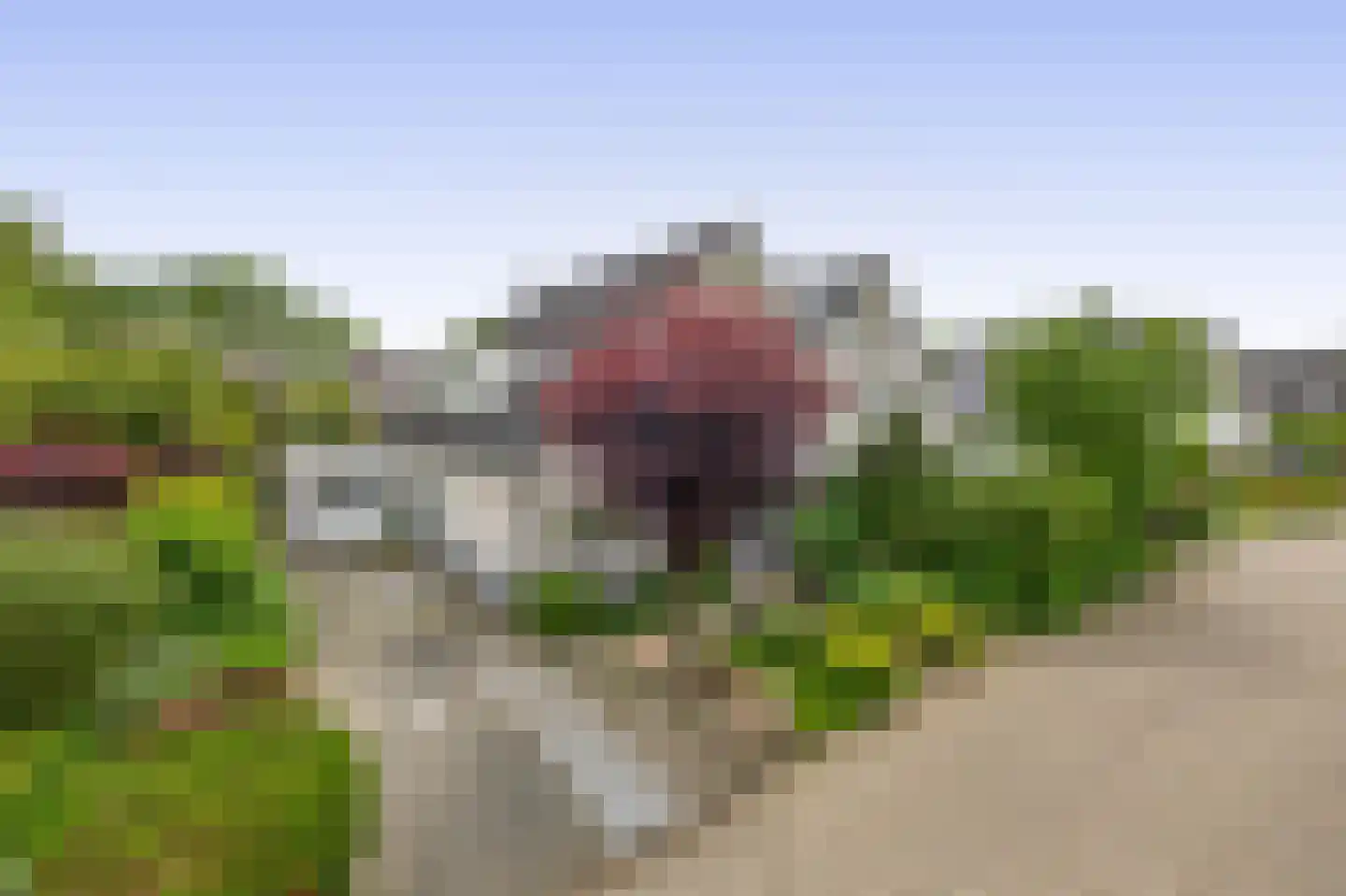 Paardebloem 75 Duiven thumbnail 60
