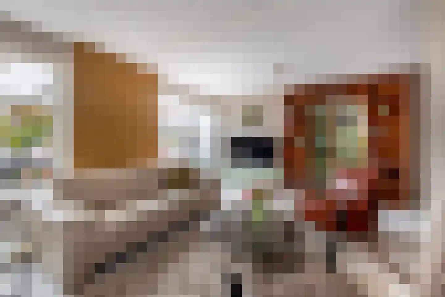 Paardebloem 75 Duiven thumbnail 7