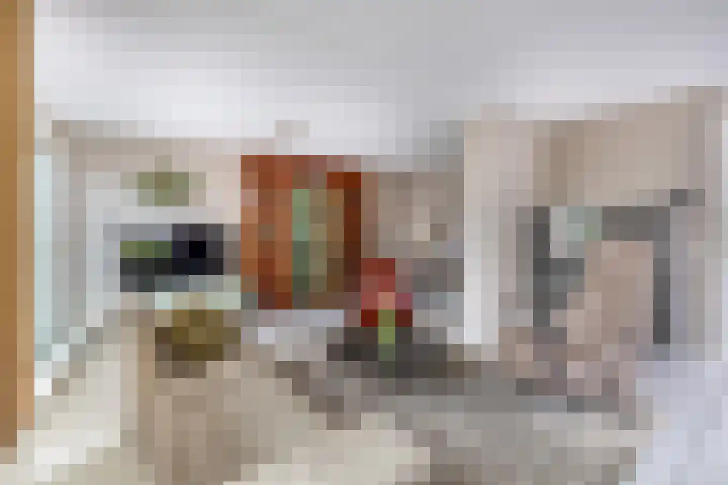 Paardebloem 75 Duiven thumbnail 8
