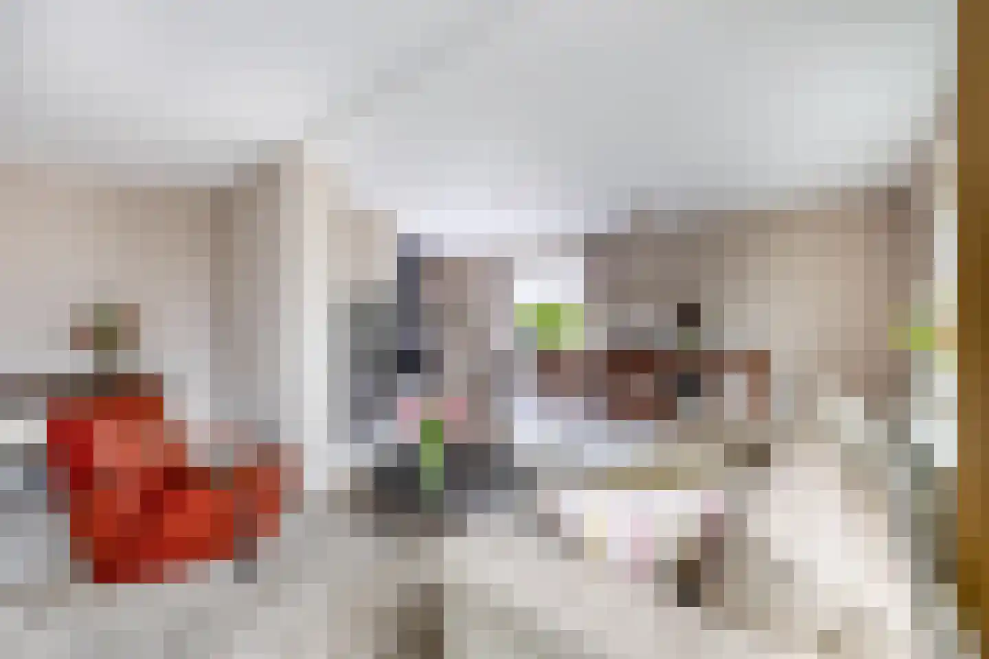 Paardebloem 75 Duiven thumbnail 9