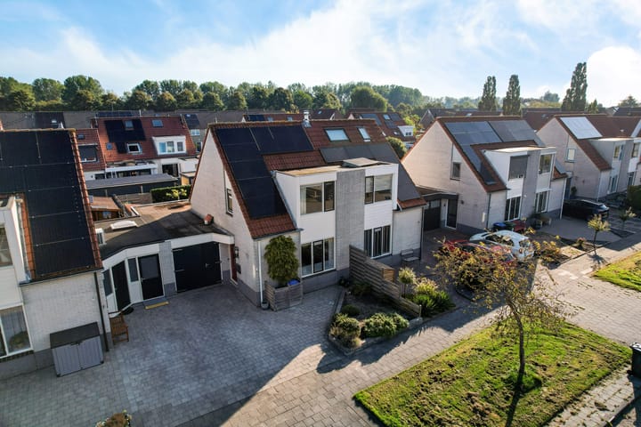 Paardebloem 9 in Sneek photo