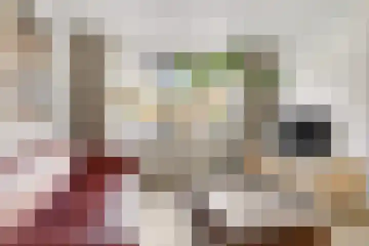 Paardebloem 9 Sneek thumbnail 12
