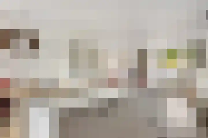 Paardebloem 9 Sneek thumbnail 15