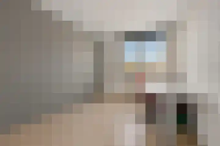 Paardebloem 9 Sneek thumbnail 28