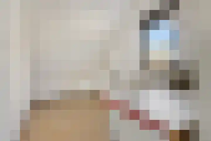 Paardebloem 9 Sneek thumbnail 30