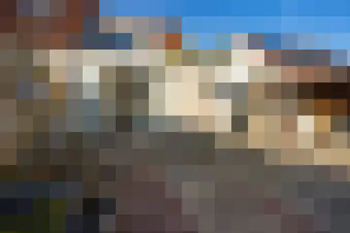 Paardebloem 9 Sneek thumbnail 32