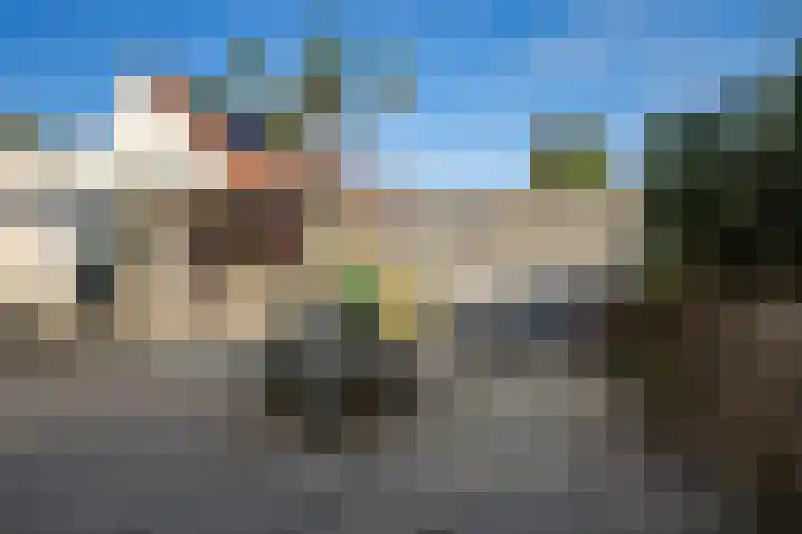 Paardebloem 9 Sneek thumbnail 33