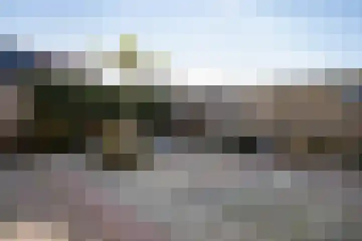 Paardebloem 9 Sneek thumbnail 35