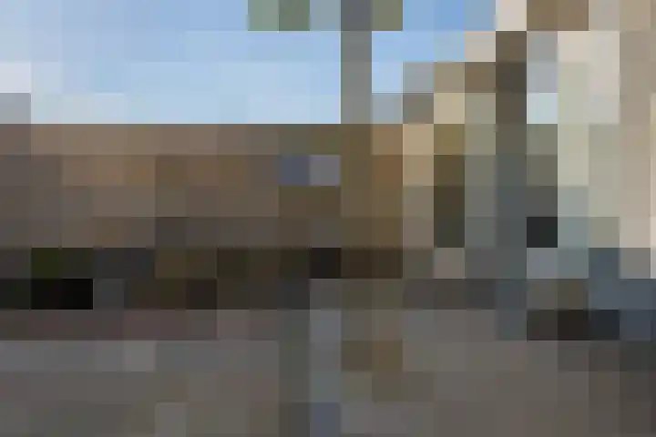 Paardebloem 9 Sneek thumbnail 36
