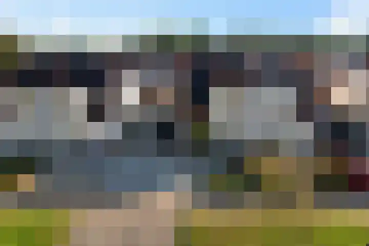 Paardebloem 9 Sneek thumbnail 38