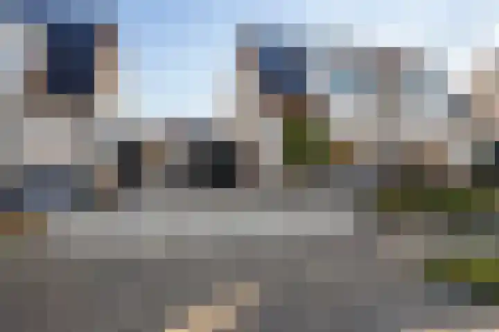 Paardebloem 9 Sneek thumbnail 40