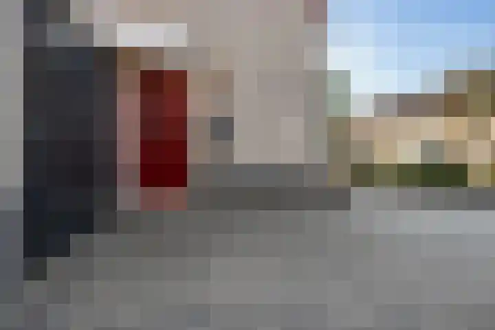 Paardebloem 9 Sneek thumbnail 41