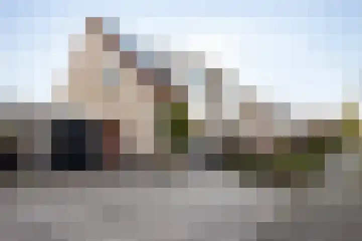 Paardebloem 9 Sneek thumbnail 42