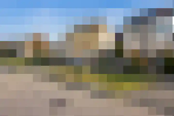 Paardebloem 9 Sneek thumbnail 43