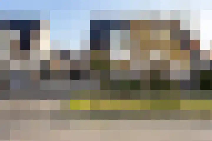 Paardebloem 9 Sneek thumbnail 44