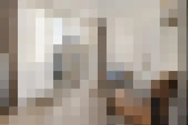 Paardebloem 9 Sneek thumbnail 7