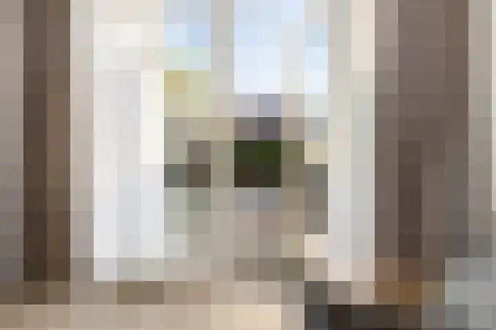 Paardebloem 9 Sneek thumbnail 8