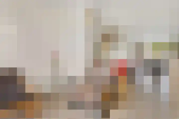 Paardebloem 9 Sneek thumbnail 9