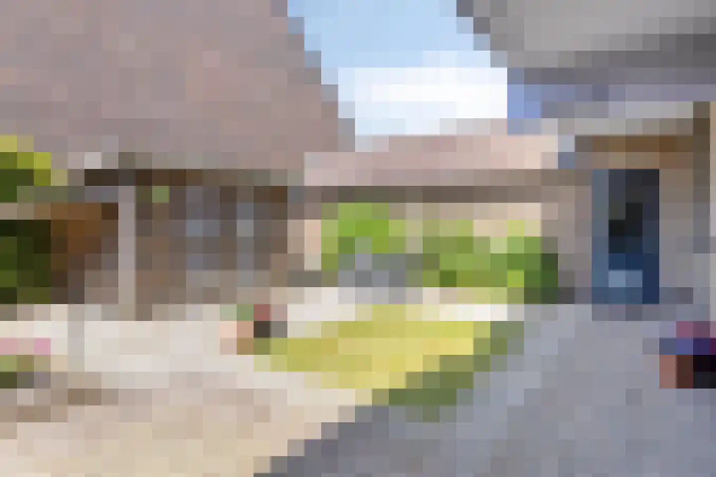 Paardebloem 98 Zwaag thumbnail 30