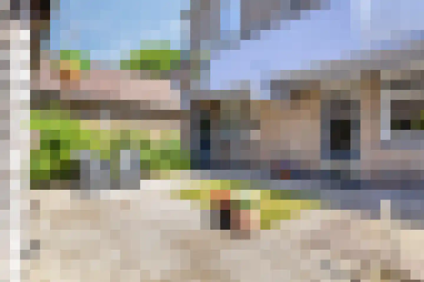 Paardebloem 98 Zwaag thumbnail 32