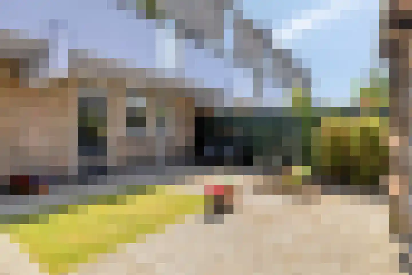 Paardebloem 98 Zwaag thumbnail 33