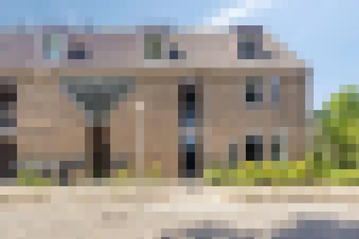 Paardebloem 98 Zwaag thumbnail 4