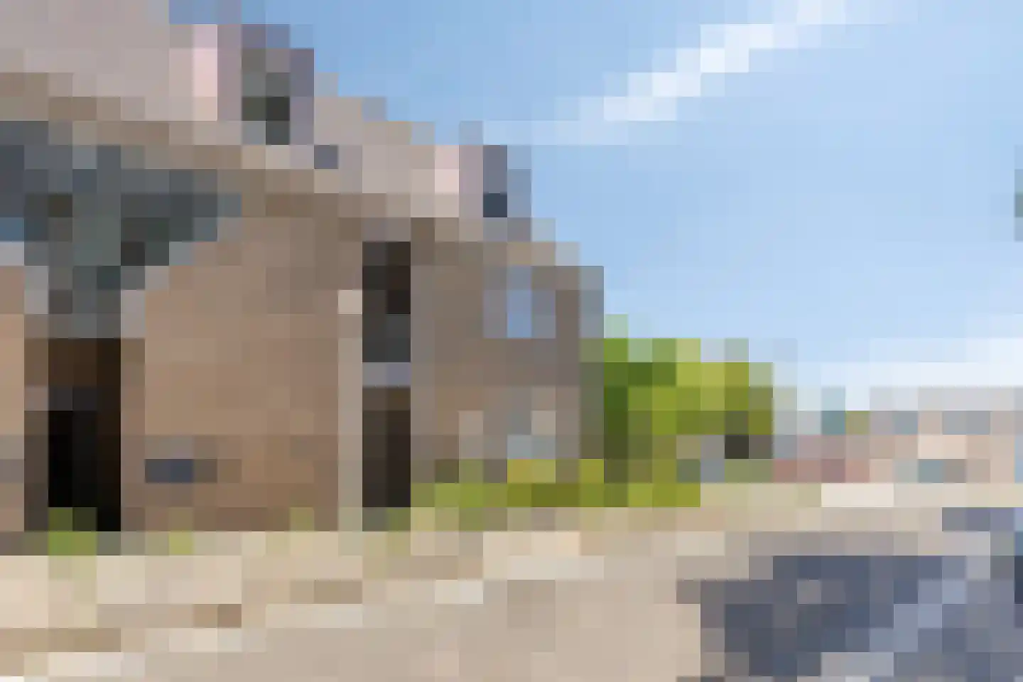 Paardebloem 98 Zwaag thumbnail 5
