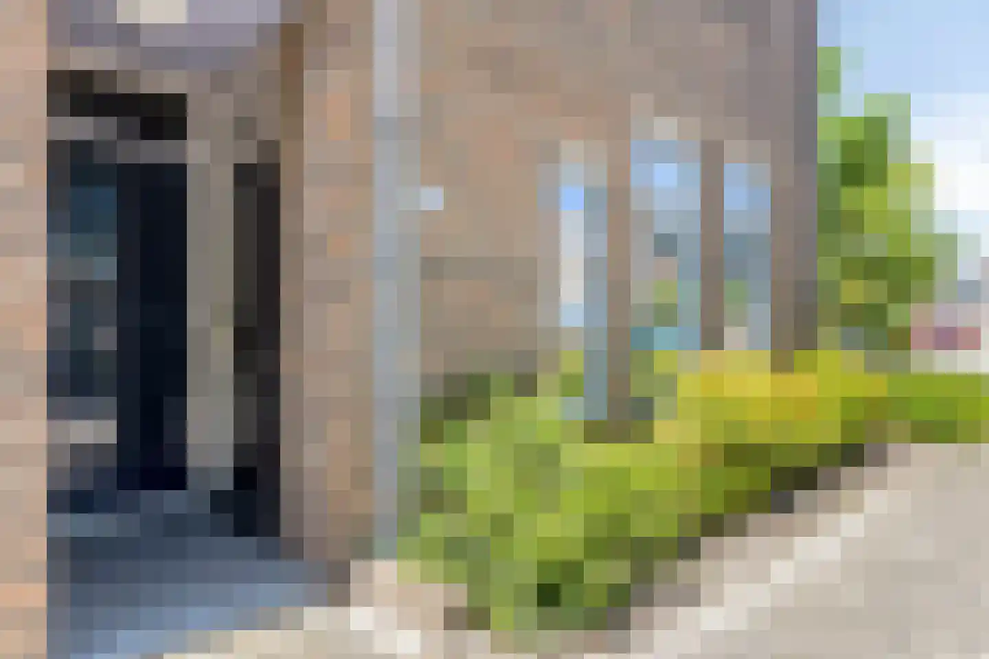 Paardebloem 98 Zwaag thumbnail 6