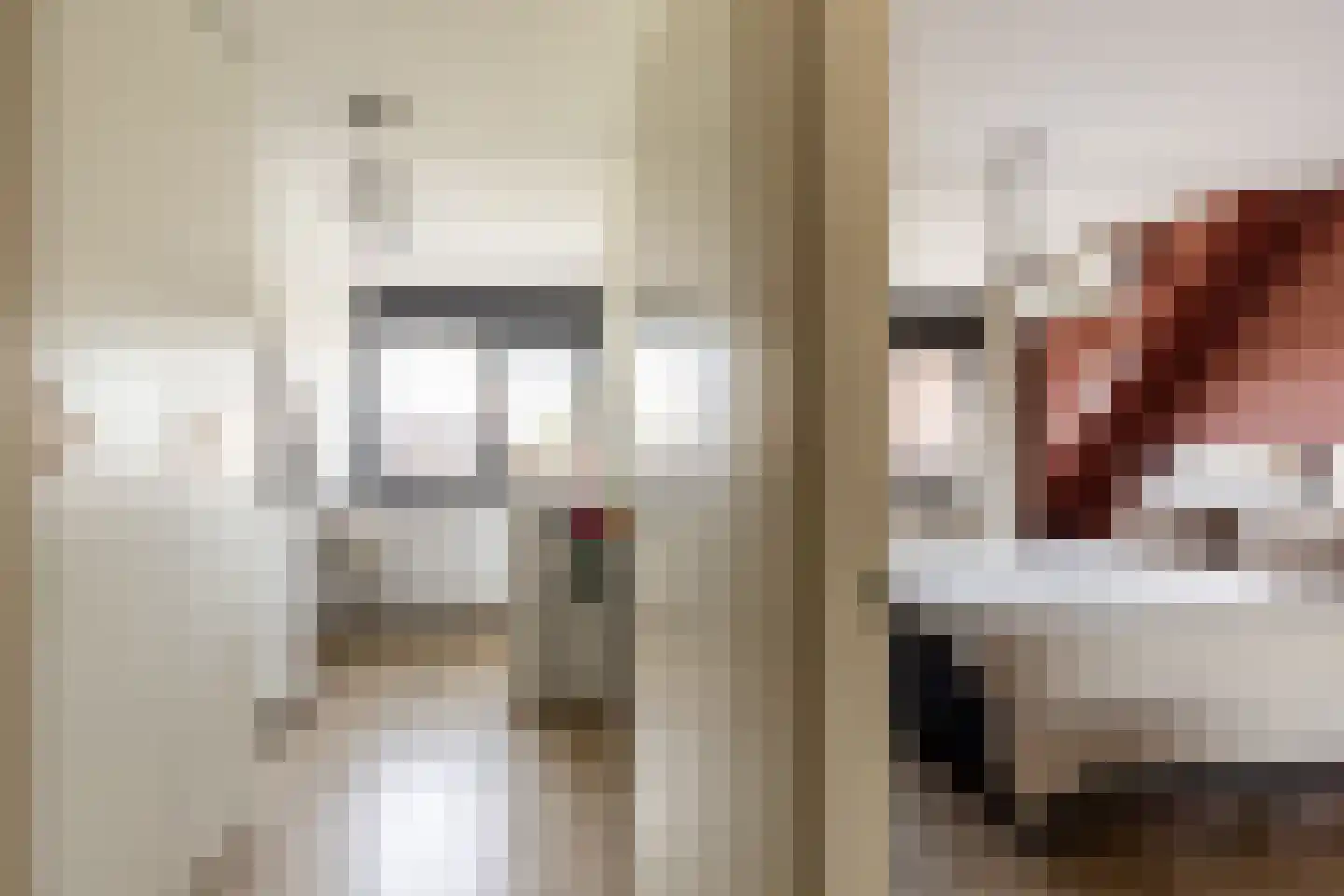 Paardebloemstraat 21 Klaaswaal thumbnail 16