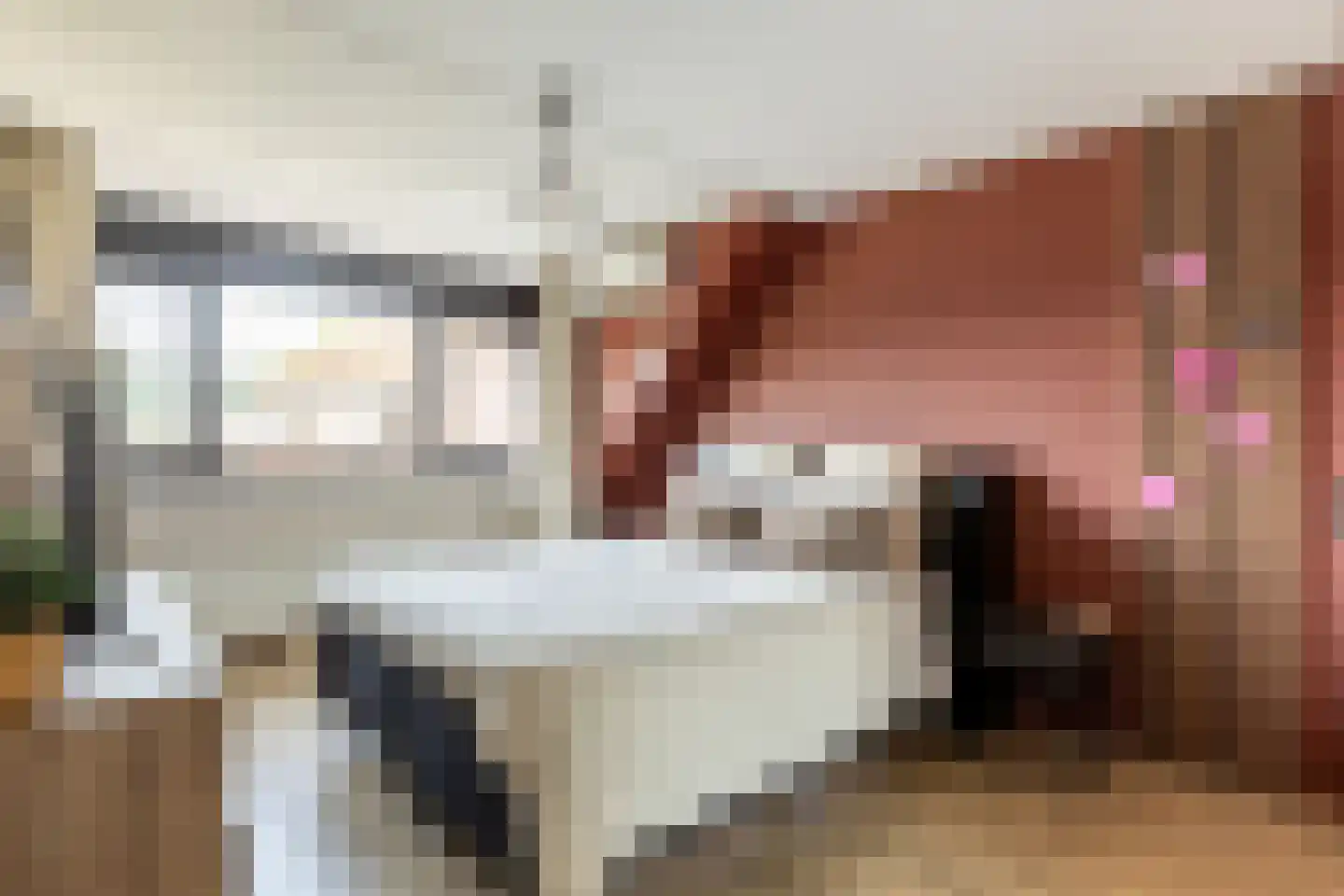 Paardebloemstraat 21 Klaaswaal thumbnail 17