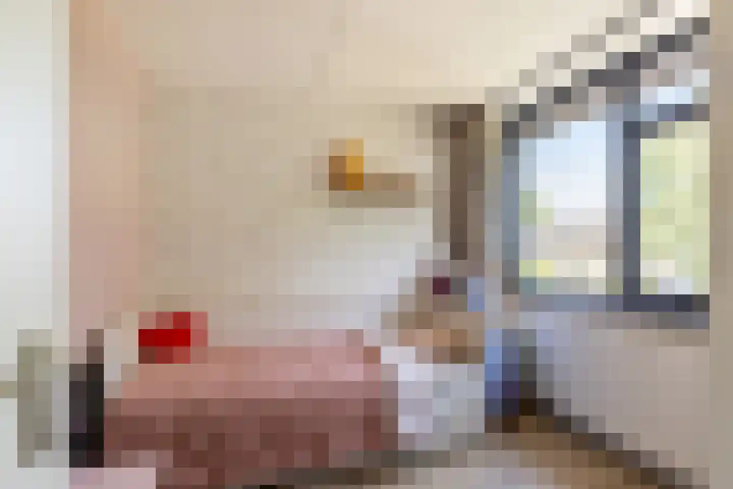 Paardebloemstraat 21 Klaaswaal thumbnail 20