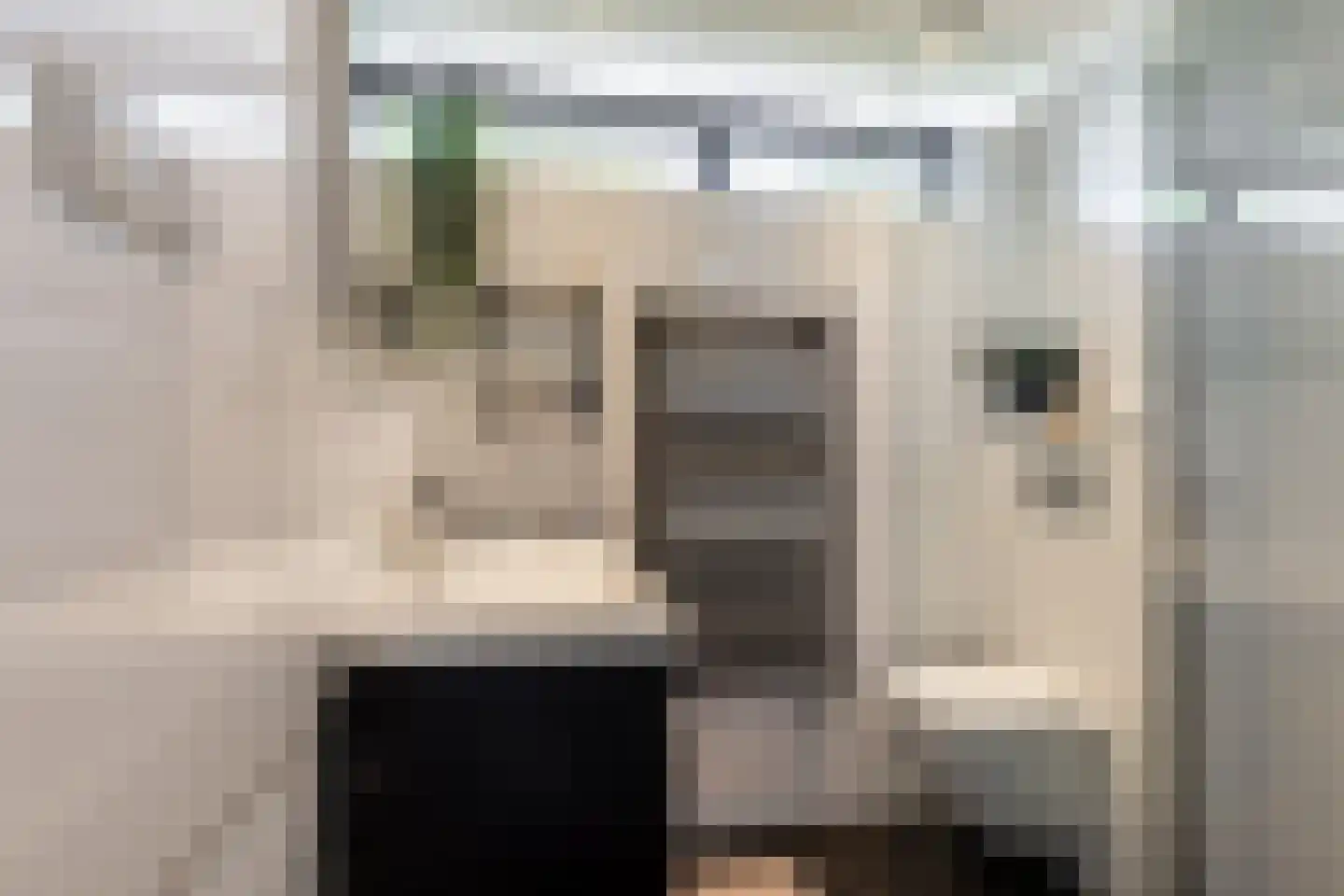 Paardebloemstraat 21 Klaaswaal thumbnail 21