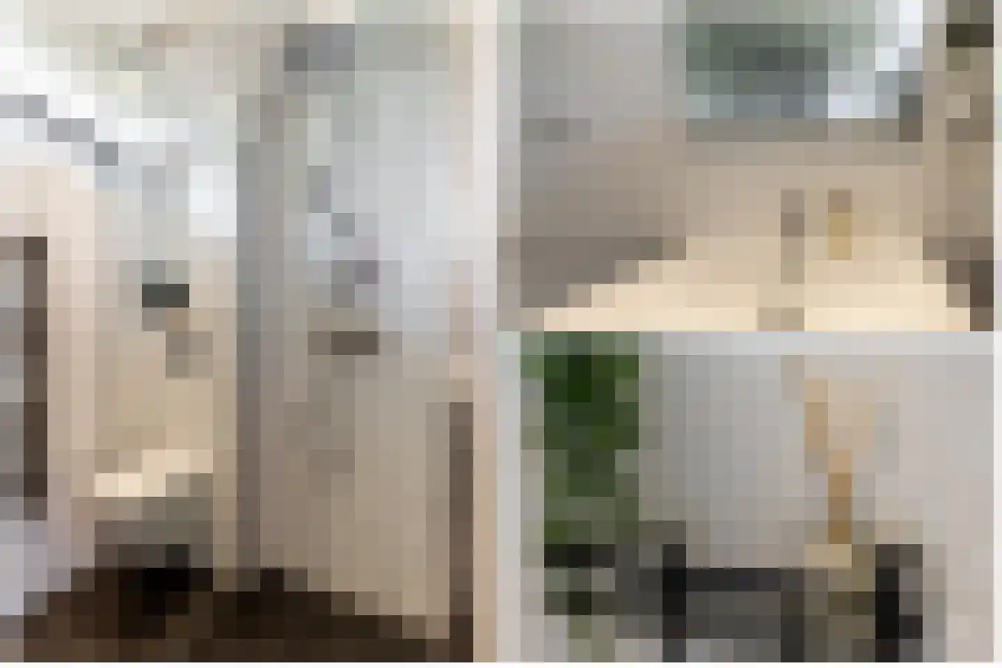 Paardebloemstraat 21 Klaaswaal thumbnail 22