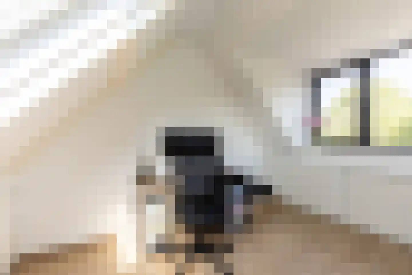 Paardebloemstraat 21 Klaaswaal thumbnail 25