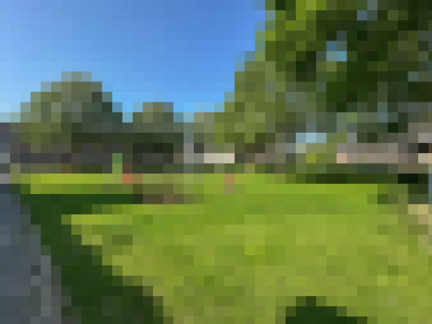 Paardebloemstraat 21 Klaaswaal thumbnail 30