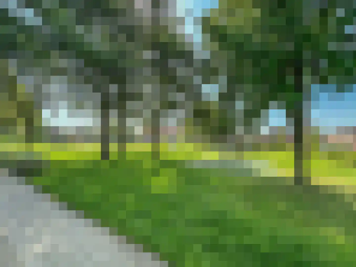 Paardebloemstraat 21 Klaaswaal thumbnail 32